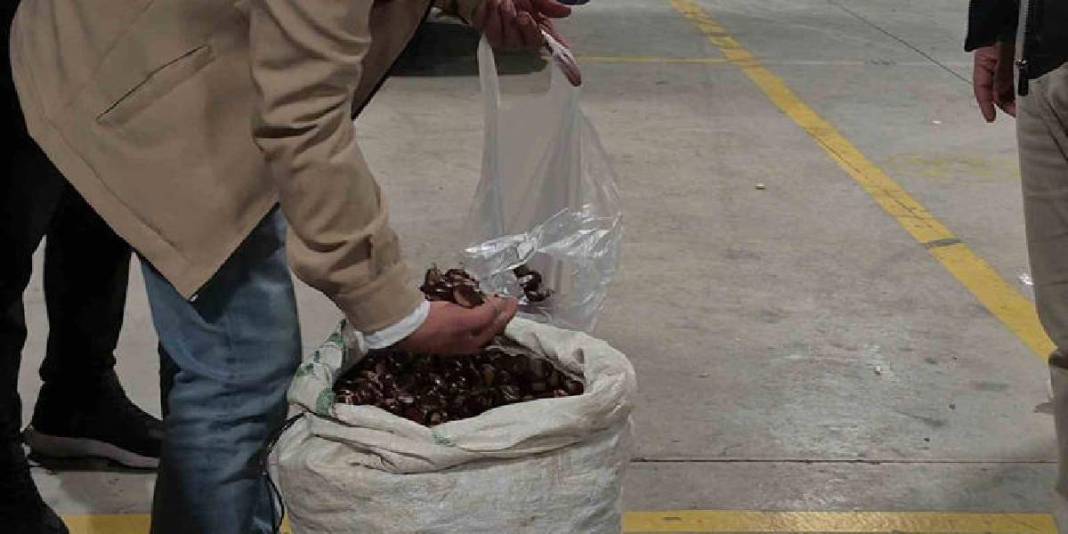 Tescilli lezzet geri döndü! Kış şimdi tamamlandı: Pazarda sezon resmen açıldı! 1